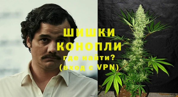 шишки Алзамай